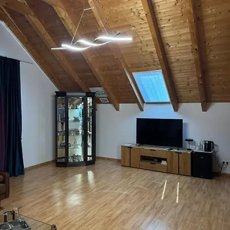 招待所 Loft Fischbach Bei 2 Schlafzimmer 3*