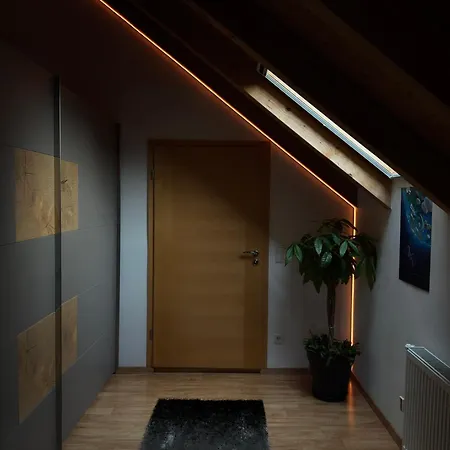 Loft Fischbach Bei 2 Schlafzimmer 招待所 卡尔曼兹
